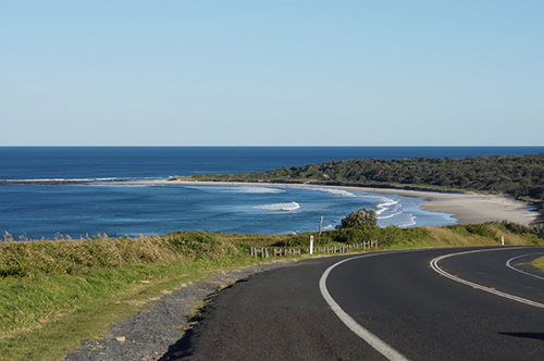 Another Ballina shark attack, Premier Baird promises shark nets ...