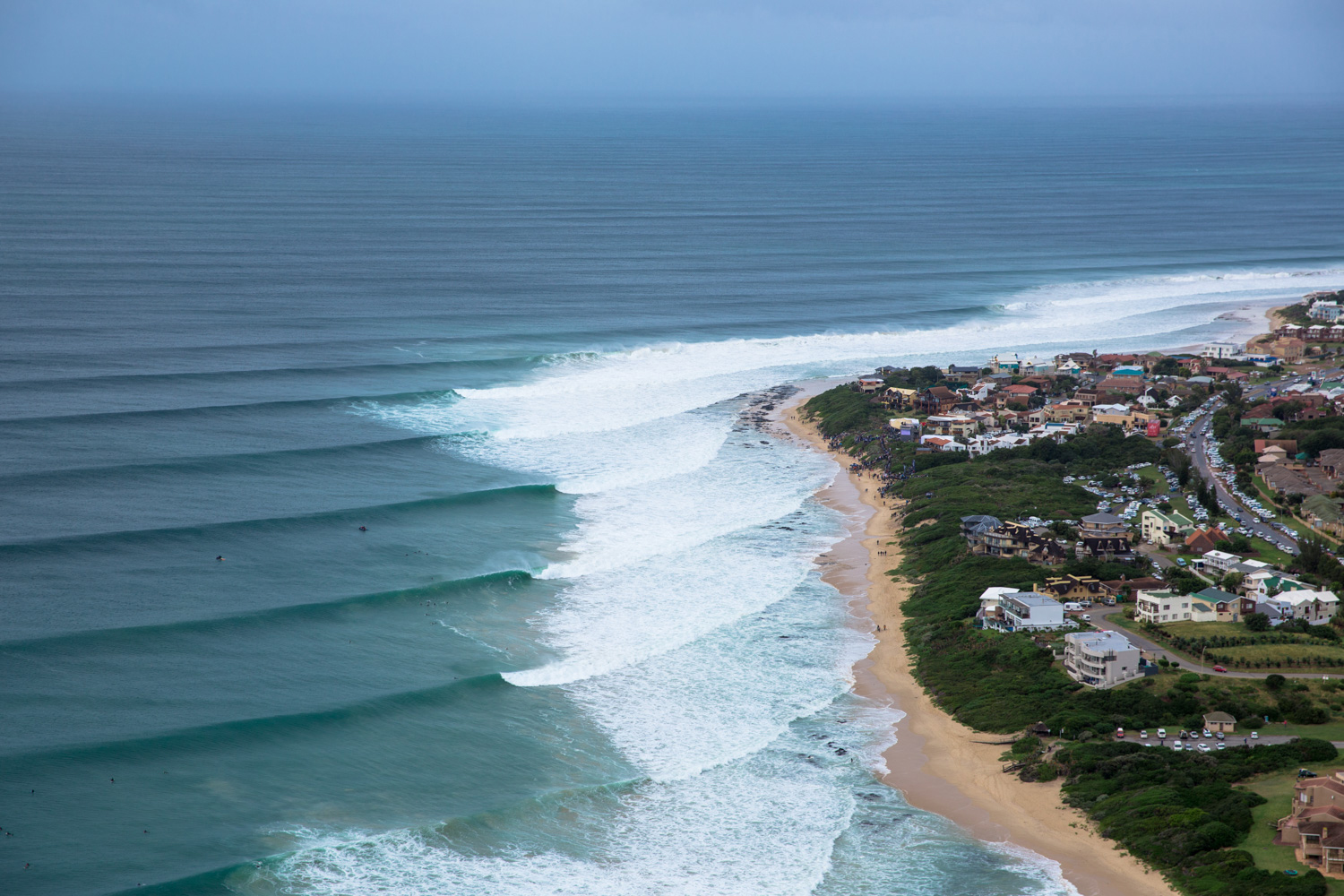 J'Bay Open early forecast Form Guide