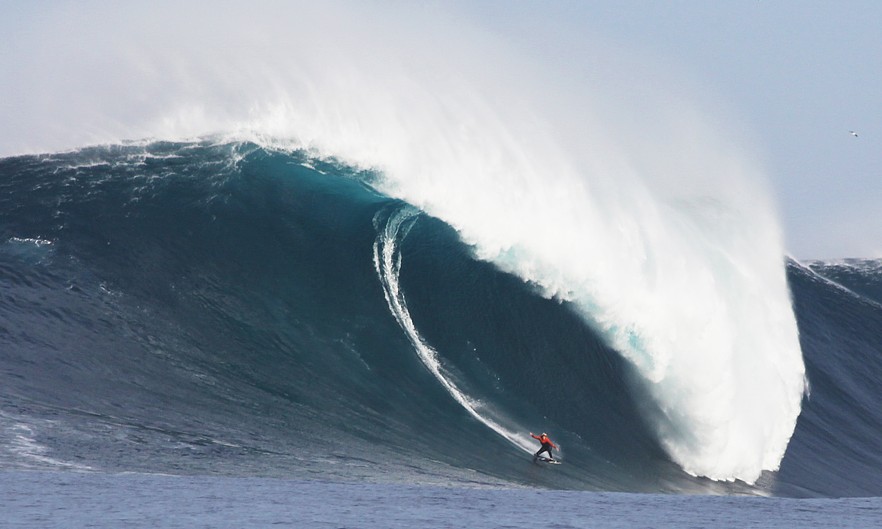 bill sharp surfing