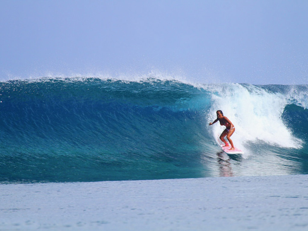 surfer 13 ws