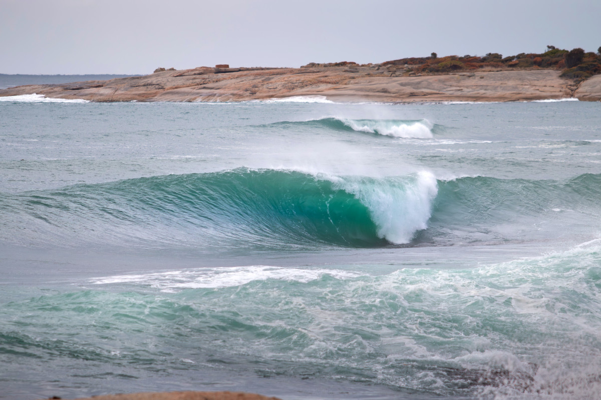 Bondi swellnet on sale