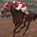 Seabiscuit's picture